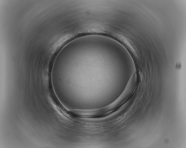 X0000092030677200709061615