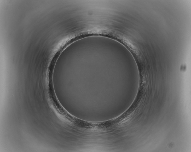 X0000092030678200709061615