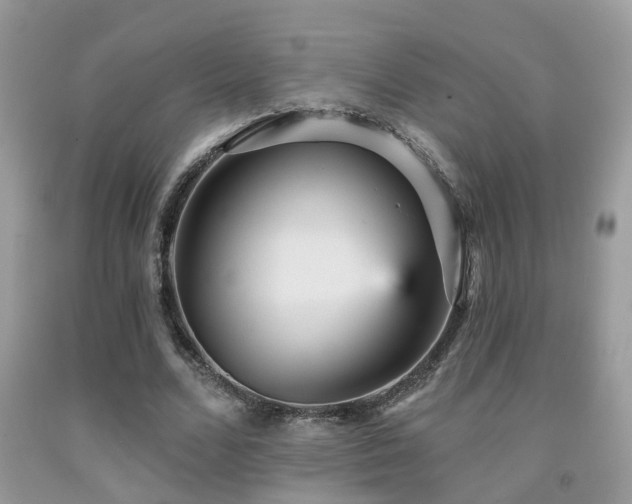 X0000092030680200709061615