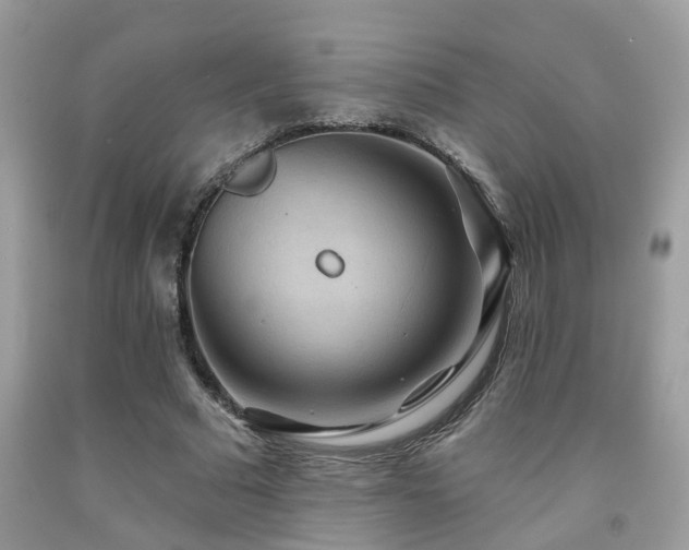 X0000092030681200709061615