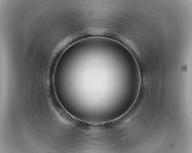 X0000092030682200709061615
