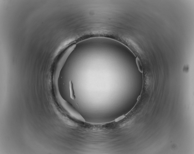 X0000092030684200709061615