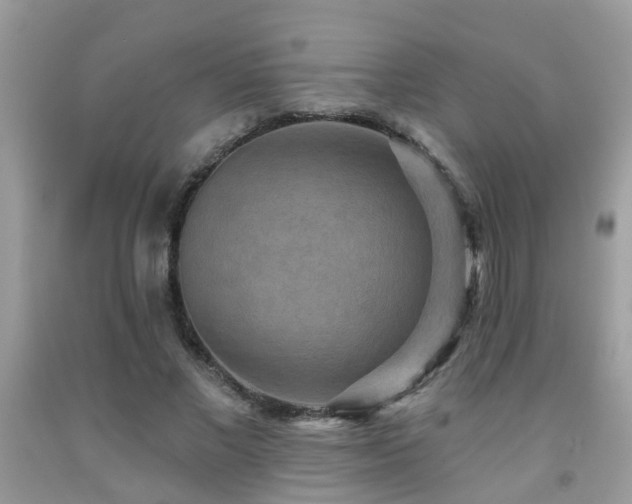 X0000092030685200709061615