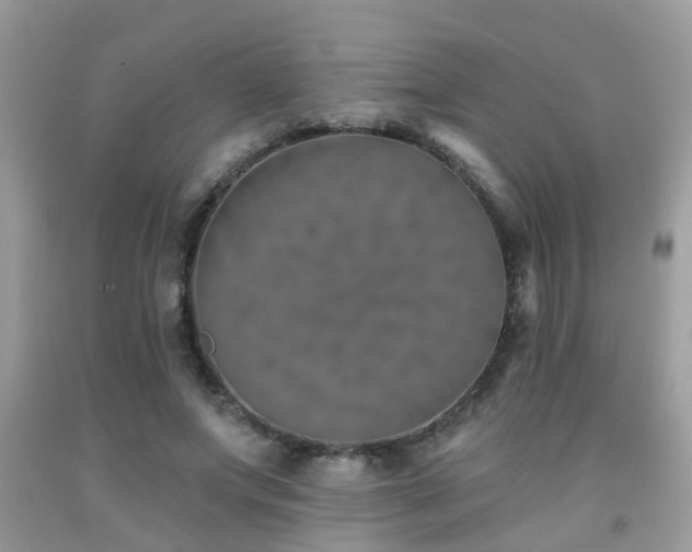 X0000092030687200709061615