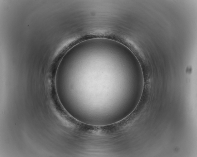 X0000092030688200709061615