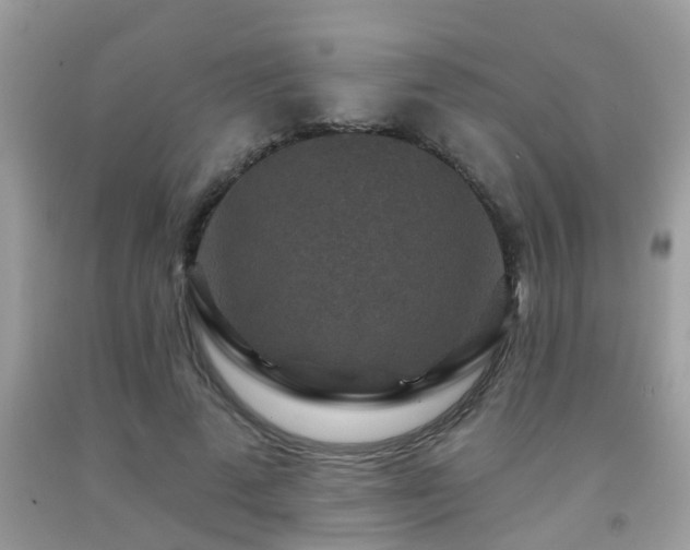 X0000092030689200709061615