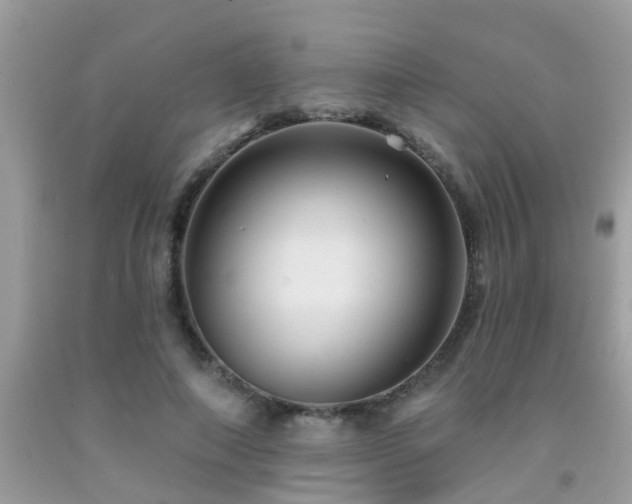 X0000092030690200709061615