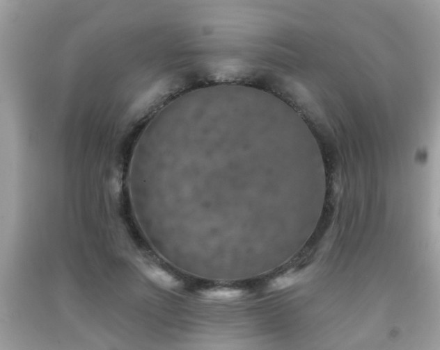 X0000092030691200709061615