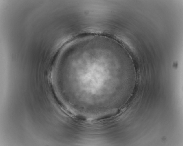 X0000092030692200709061615
