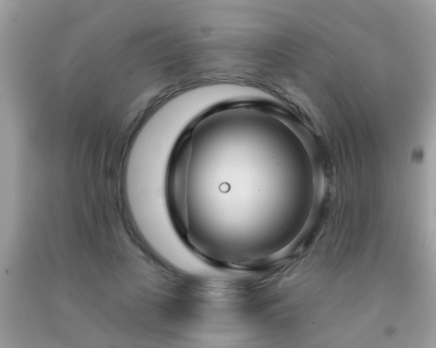 X0000092030693200709061615