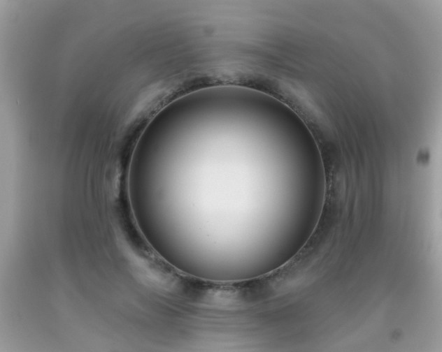 X0000092030694200709061615