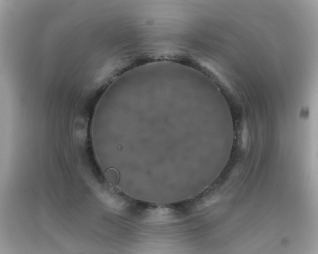 X0000092030695200709061615