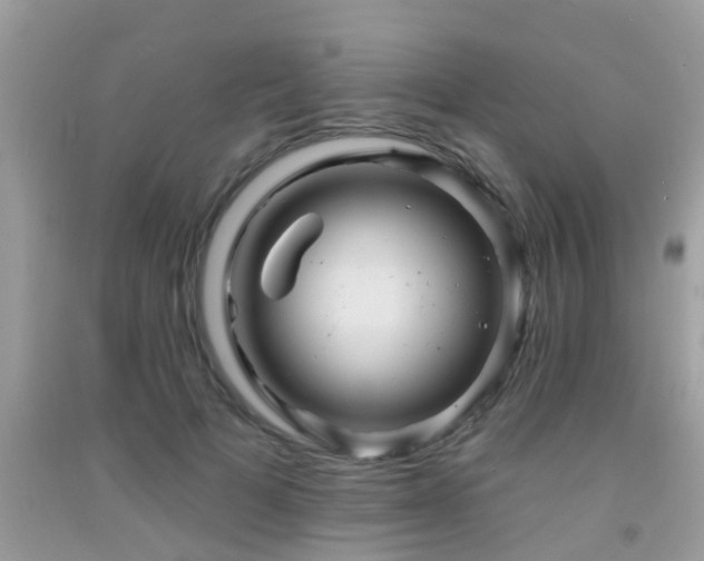X0000092030697200709061615