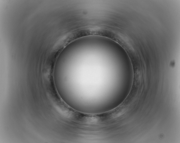 X0000092030698200709061615