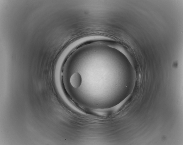 X0000092030700200709061615