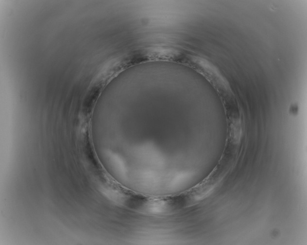 X0000092030701200709061615