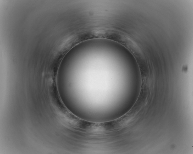 X0000092030702200709061615