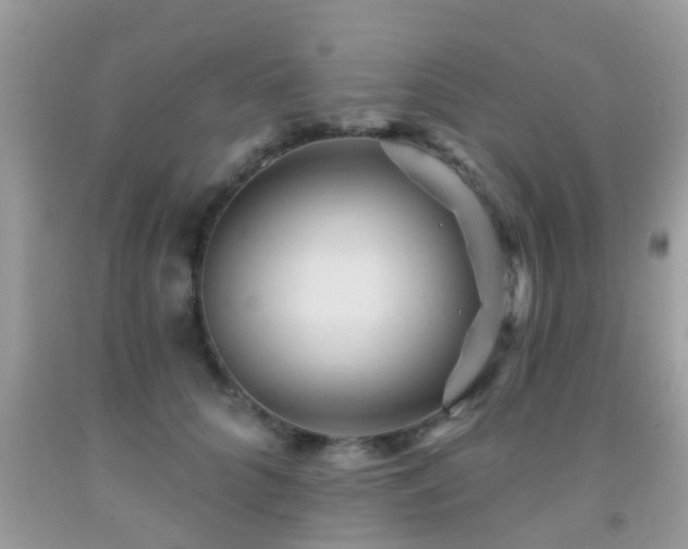 X0000092030704200709061614