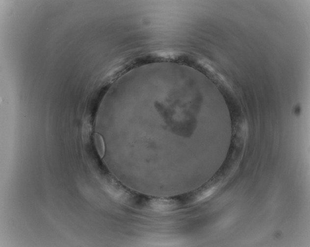 X0000092030707200709061614