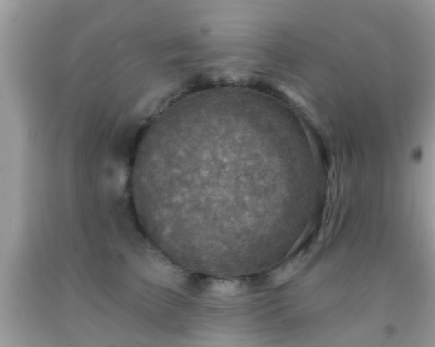 X0000092030709200709061614