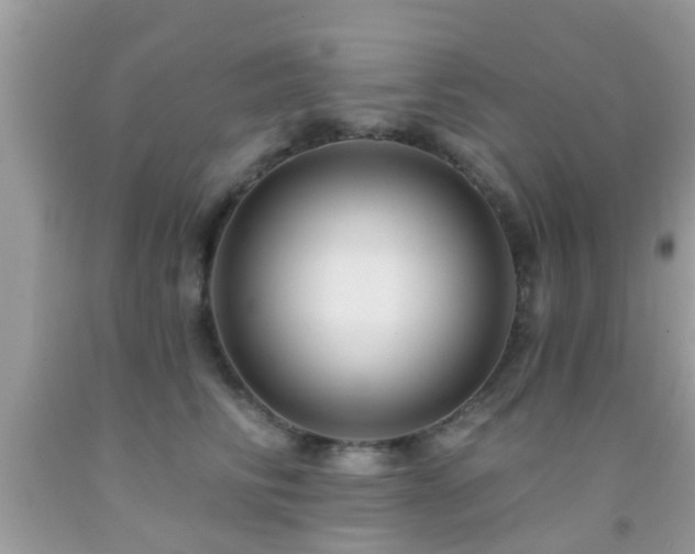 X0000092030710200709061614