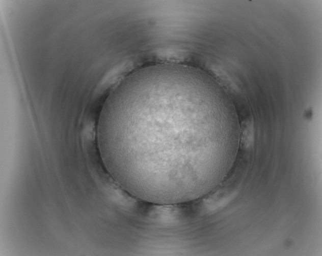 X0000092030713200709061614