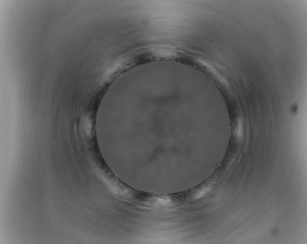 X0000092030715200709061614