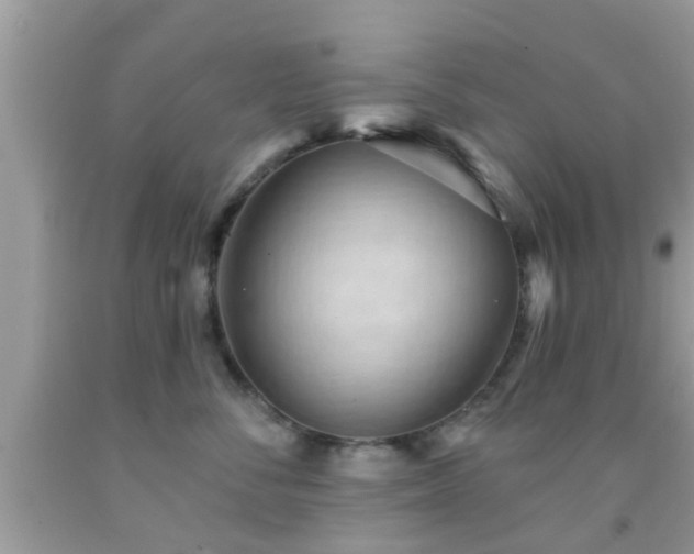 X0000092030716200709061614