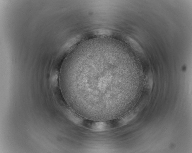 X0000092030717200709061614