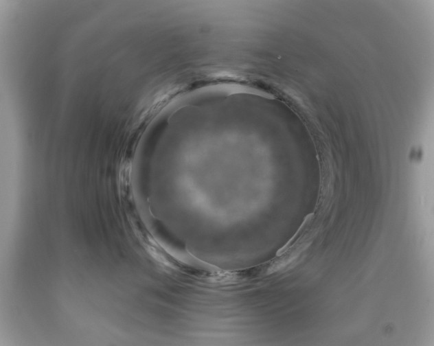 X0000092030720200709061614