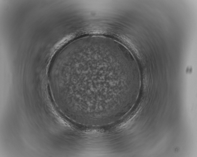 X0000092030721200709061614