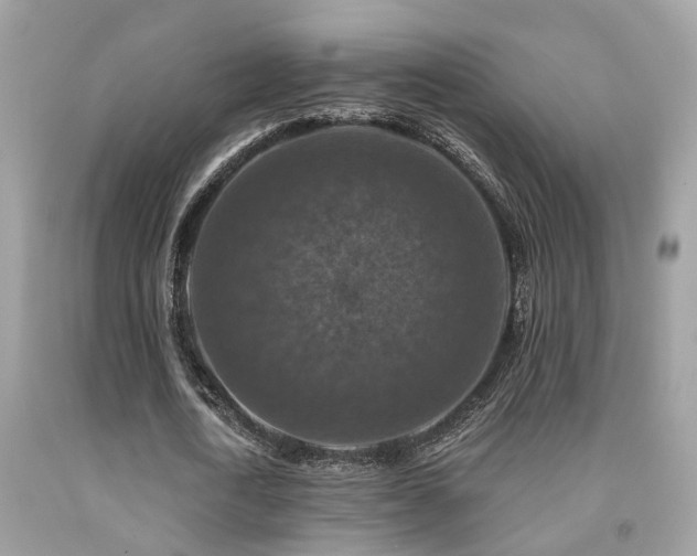X0000092030722200709061614