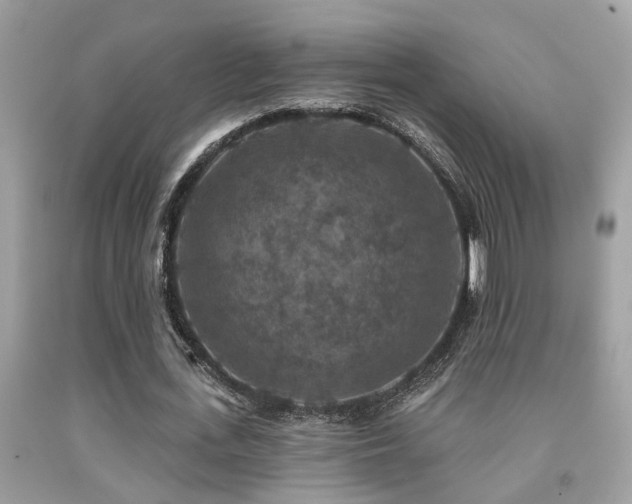 X0000092030723200709061614