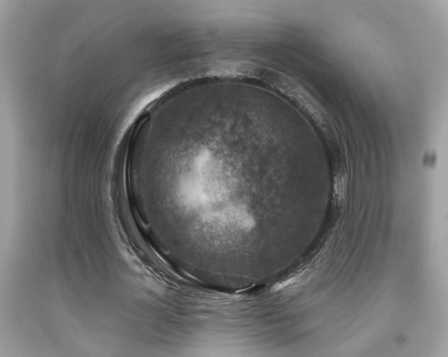 X0000092030724200709061614