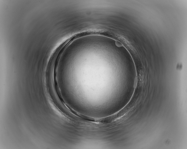 X0000092030726200709061614