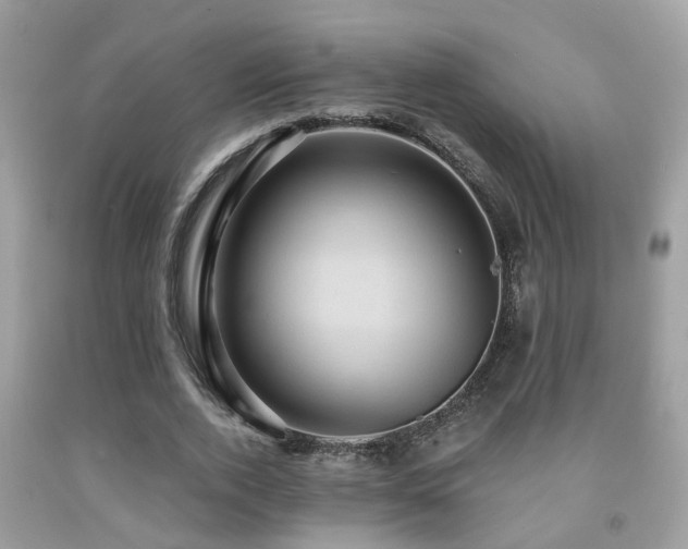 X0000092030728200709061614