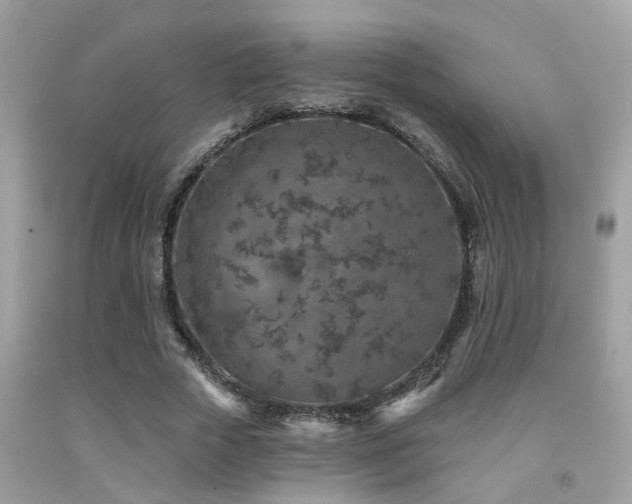 X0000092030729200709061614