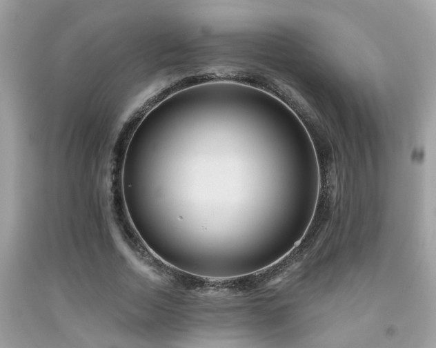 X0000092030730200709061614