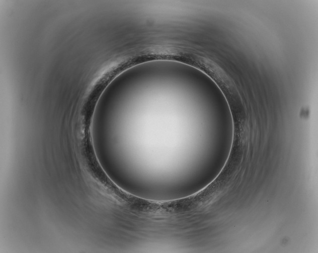 X0000092030731200709061614