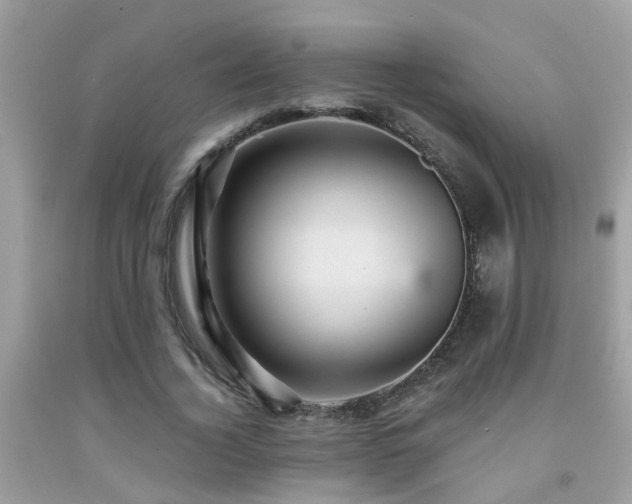 X0000092030732200709061614