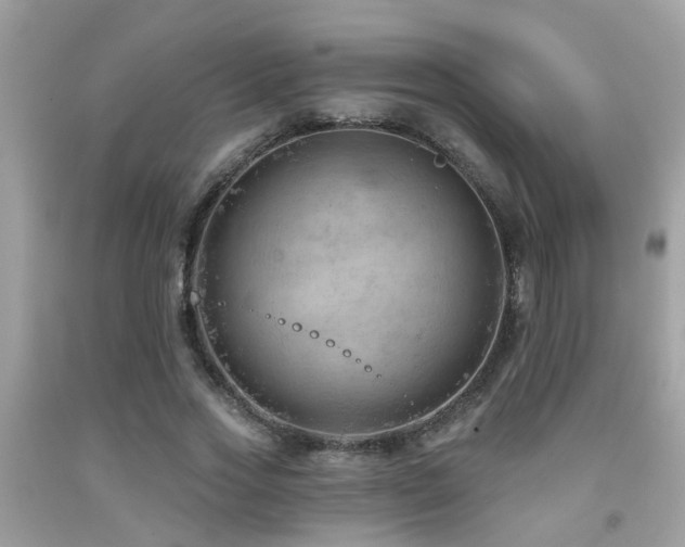 X0000092030733200709061614