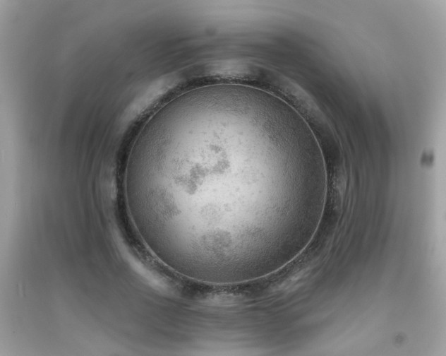 X0000092030734200709061614