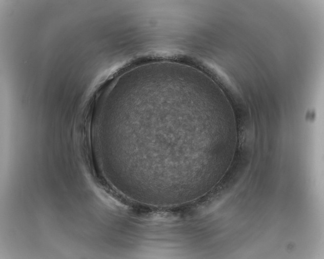 X0000092030736200709061614
