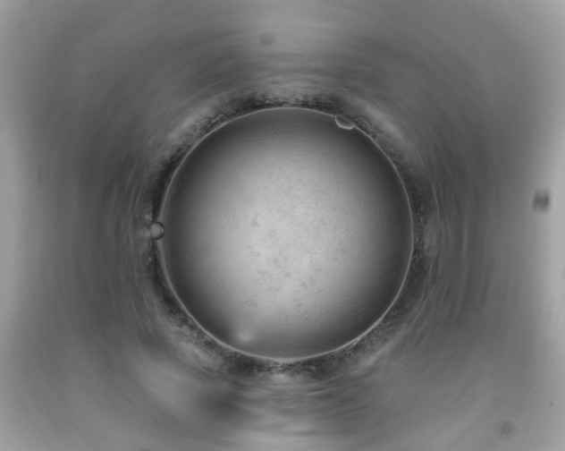 X0000092030737200709061614