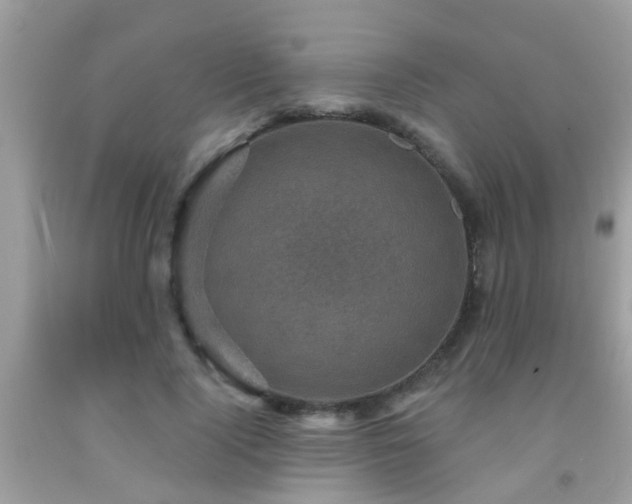 X0000092030740200709061614