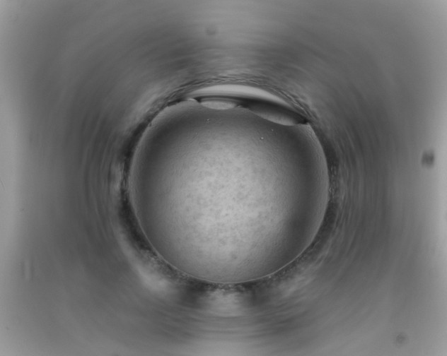 X0000092030742200709061614