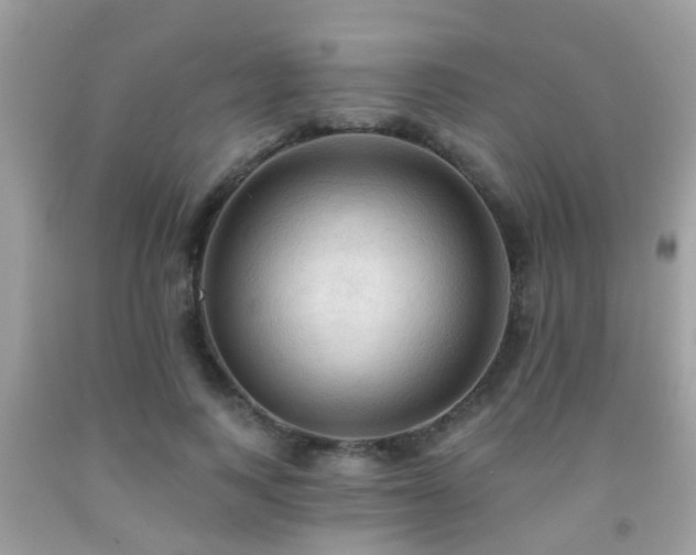 X0000092030743200709061614