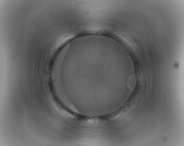 X0000092030744200709061614