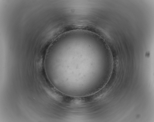 X0000092030745200709061614