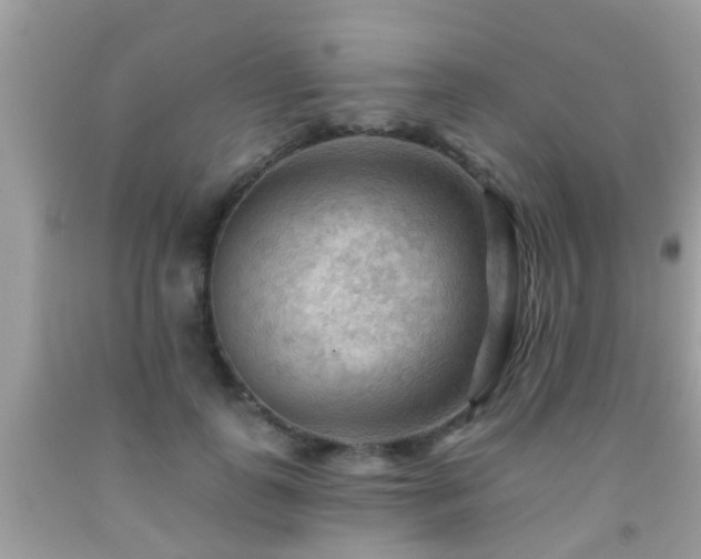 X0000092030747200709061614